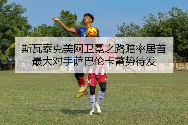 si-wa-tai-ke-mei-wang-wei-mian-zhi-lu-pei-lv-ju-shou-zui-da-dui-shou-sa-ba-lun-ka-xu-shi-dai-fa-2-697.jpg
